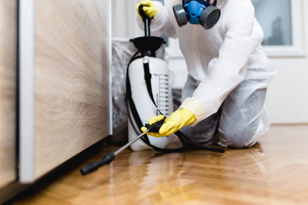 Trusted Whitehall, MI Pest Control Experts