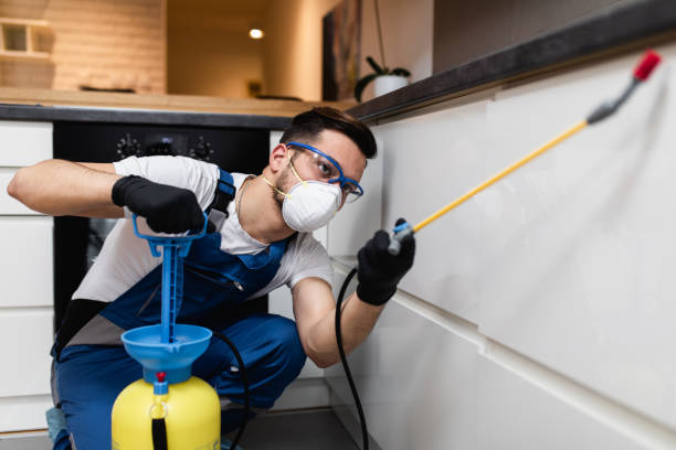Best Emergency Pest Control  in Whitehall, MI