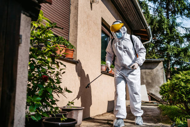 Best Exterminator Services  in Whitehall, MI