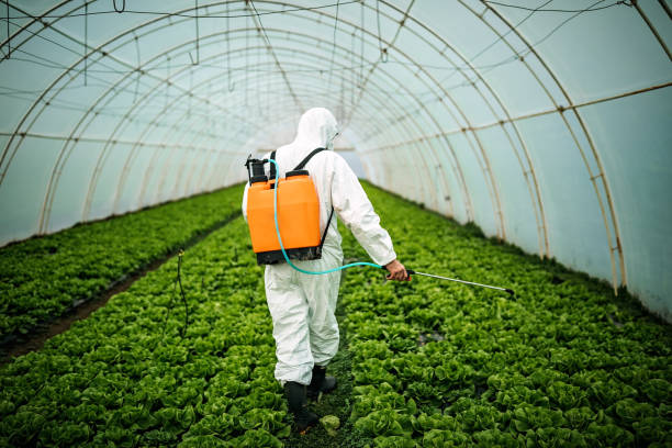 Best Best Pest Control Companies  in Whitehall, MI