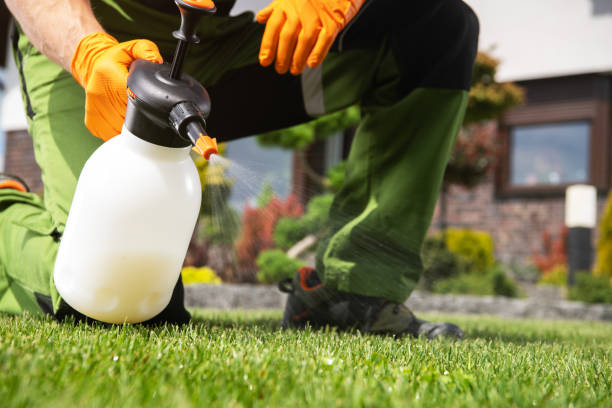 Best Affordable Exterminators  in Whitehall, MI