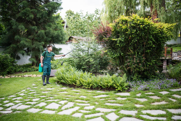 Best Pest Inspection Near Me  in Whitehall, MI