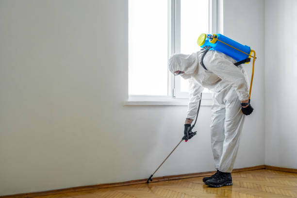 Best Exterminator Services  in Whitehall, MI