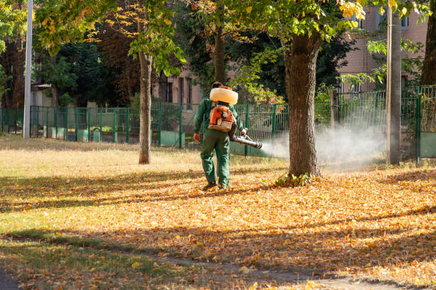 Best Wildlife Control Services  in Whitehall, MI