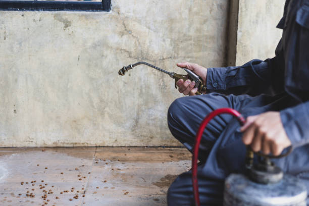 Best Pest Control Near Me in Whitehall, MI