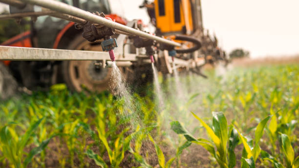 Best Ant Control Services  in Whitehall, MI